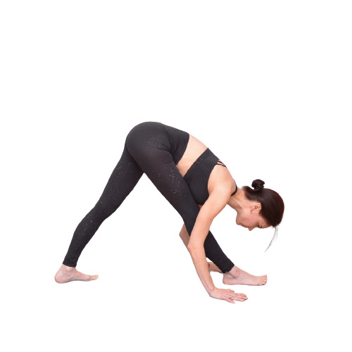 Pyramid Pose or Parsvottanasana Supported Variation - Sharp Muscle