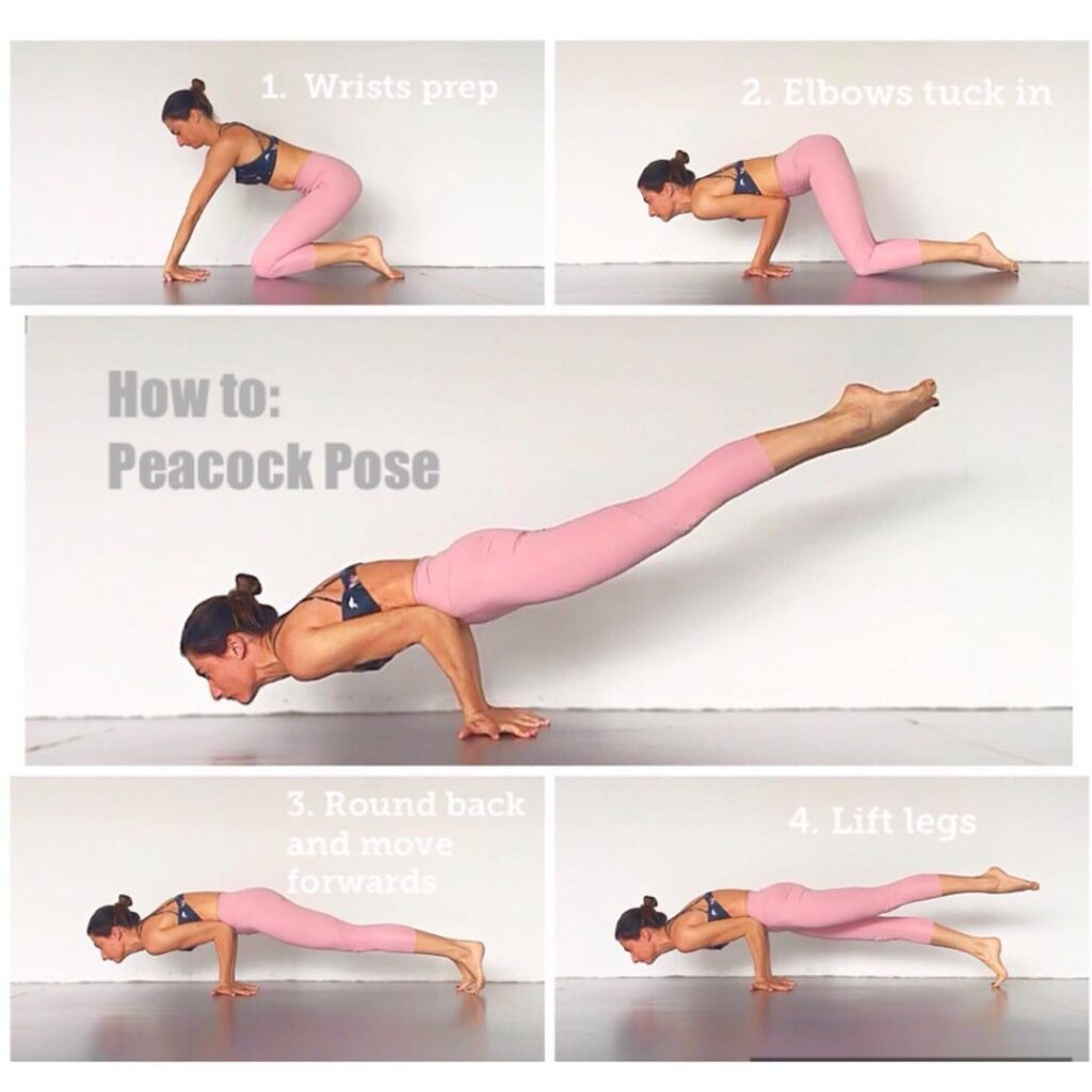 Step by step Mayurasana (Peacock Pose) - Sharp Muscle