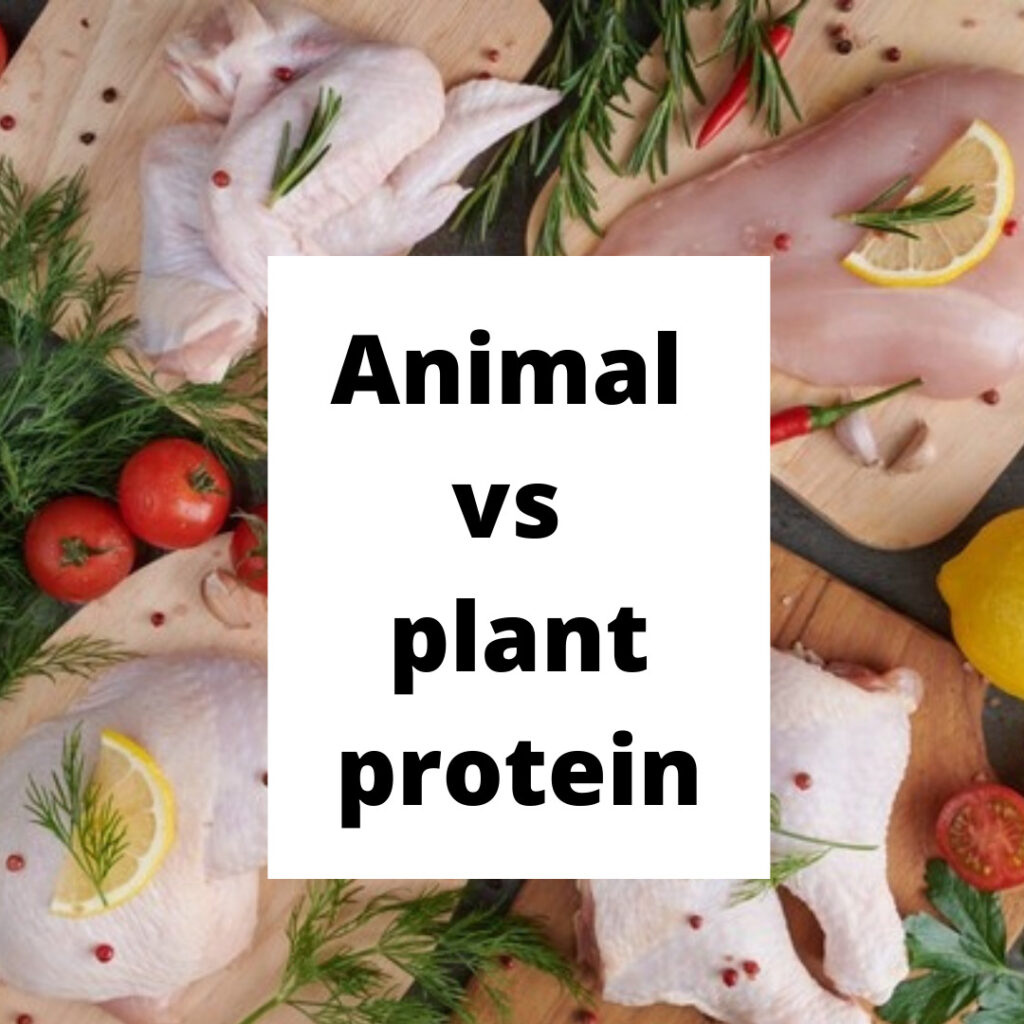 Animal vs plant protein vegans get protein - Darshita Singh - Sharp Muscle