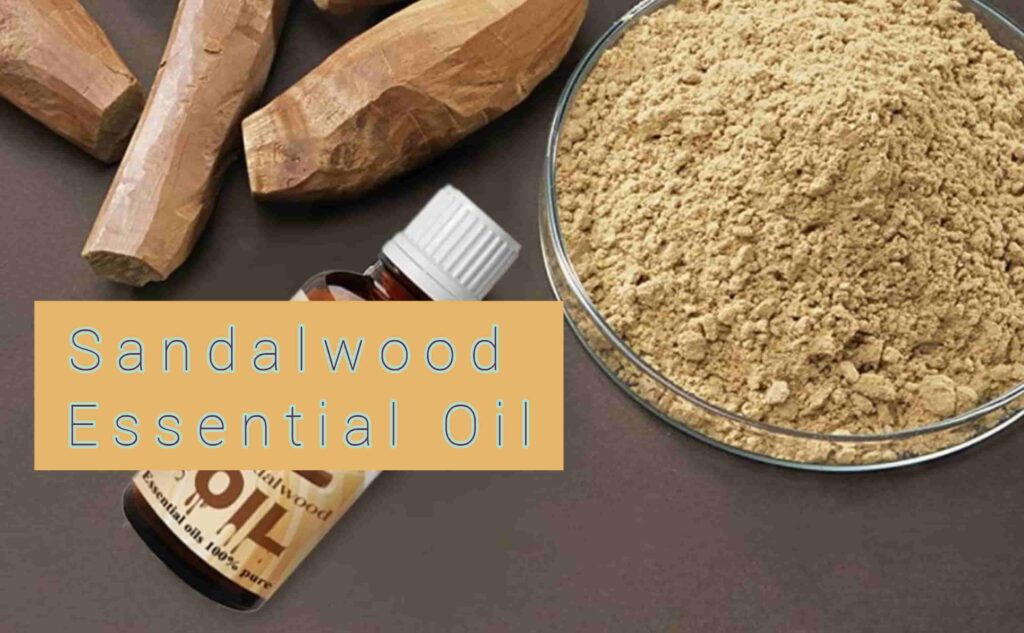 Sandalwood Essential Oil - Sharp Muscle