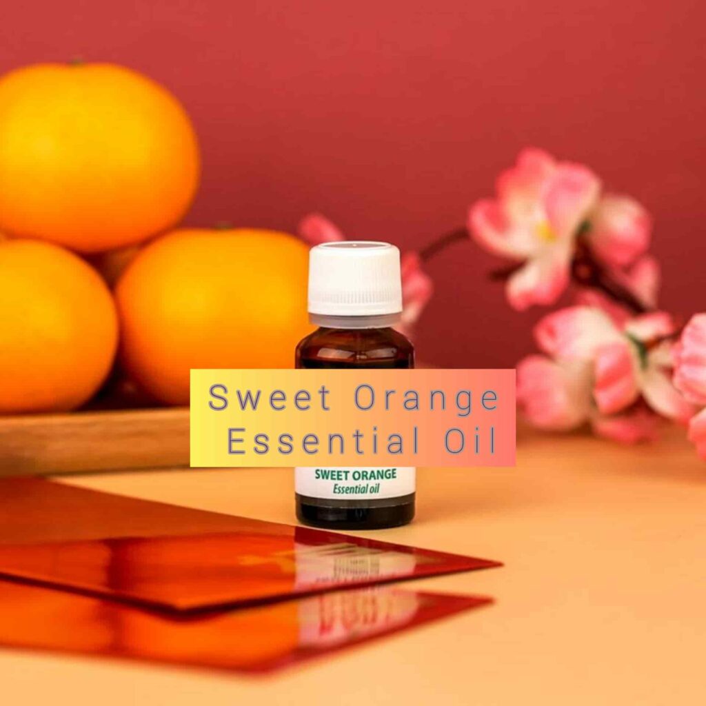 Sweet Orange Essential Oil - Sharp Muscle