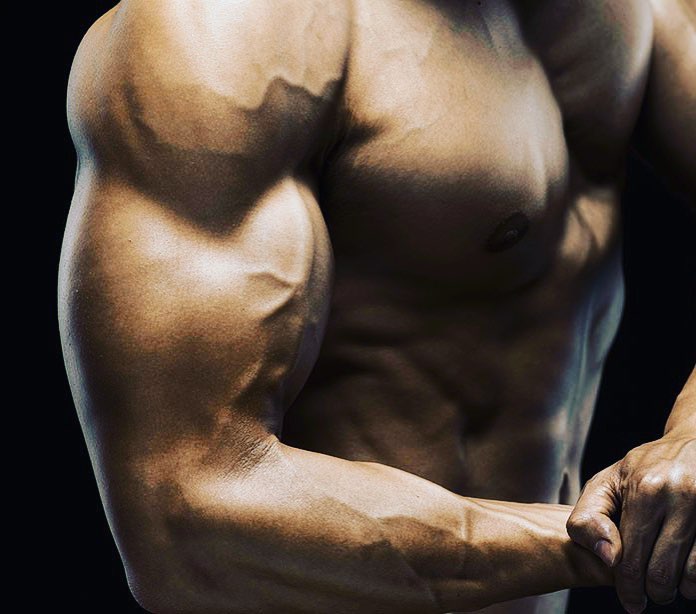 8 weeks biceps workout plan - Sharp Muscle 