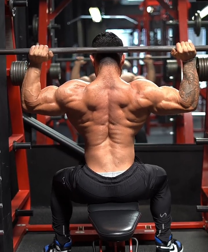 Seated Behind the Neck Shoulder Press - fitzabout